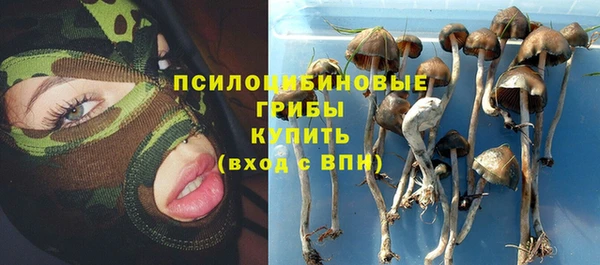 бошки Балахна